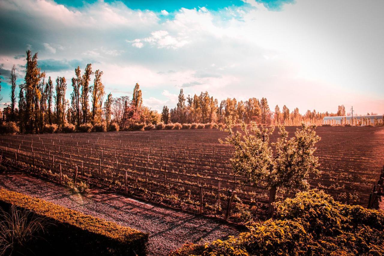 Finca Terrada Chacras de Coria Eksteriør billede